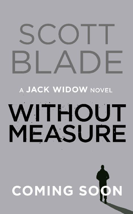 Titelbild zum Buch: Without Measure